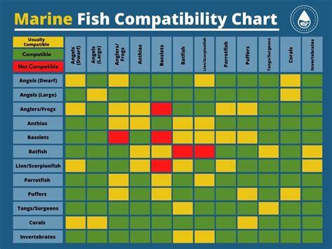 best fish for small tank|aquarium freshwater fish compatibility chart.